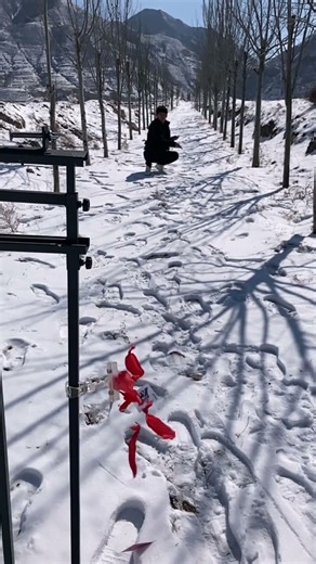 Balloon burst with flying cards #growth plan