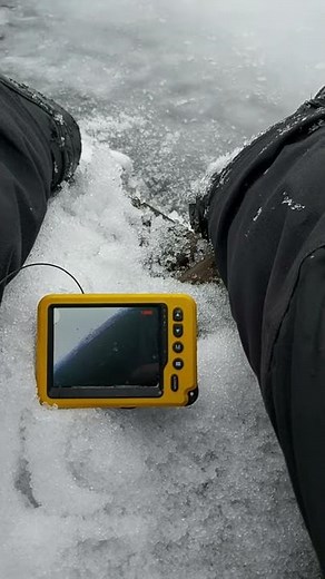 River otter snorting sound