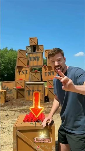 USA EUROPE MRBEST IN VIDEO