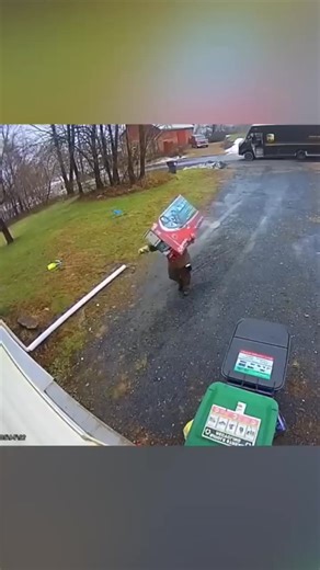 This UPS driver made sure a child’s gift wasn’t stolen 👏 | Alyssa Crow