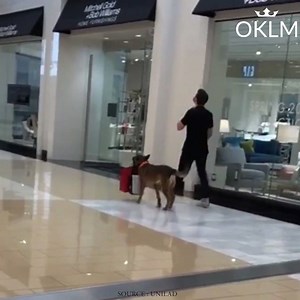 La flemme vient d'atteindre un niveau encore jamais exploré dans l'histoire de l'humanité | OKLM