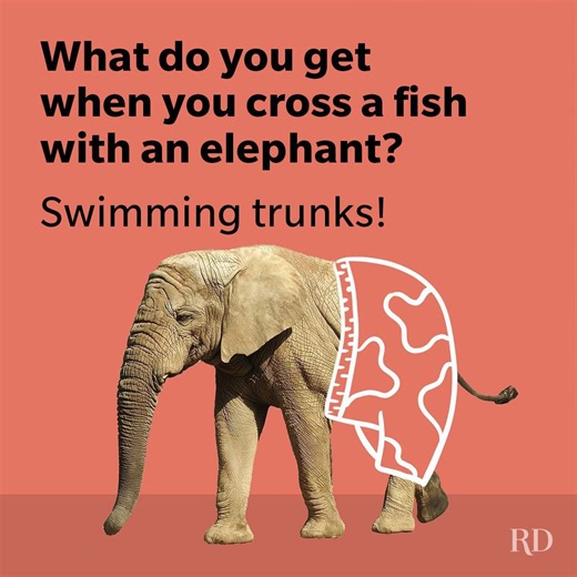 45 Elephant Jokes That Are a Ton of Laughs