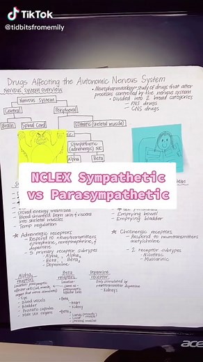Understanding the NCLEX Sympathetic vs Parasympathetic Nervous System