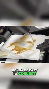 Making Rosin: Extraction Process Revealed! #shorts