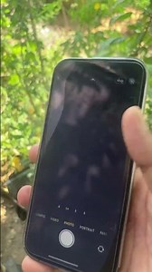 How to Turn Off Burst Mode on Any iPhone/iOS #iphone #shorts