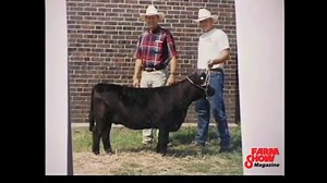 8.2K views · 91 reactions | The International Miniature Cattle Breeders Society and Registry® hosts a website (www.minicattle.com) that carries information about many different breeds of miniature cattle. Click here for a complimentary issue: FARM SHOW Magazine | FARM SHOW Magazine | Facebook