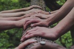 TeamsVid: Covid Connection