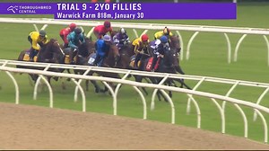 The unraced Lady Jezam, trained by Portelli Racing, wins a trial at Warwick Farm on Monday, beating the fast-finishing Facile, and Lazzago found the line well under a tight hold. TAB | Racing NSW