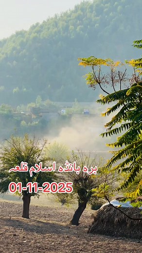 17K views · 305 reactions | Muhammad Ali on Reels | Facebook