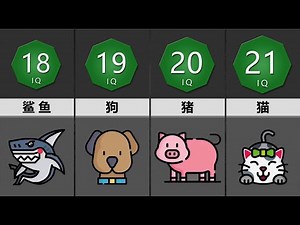 全球智商(IQ)大排名 人类光荣上榜但却只能排第二！