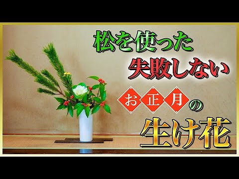 【お正月】花瓶で松を生けてみた！投げ入れ 編