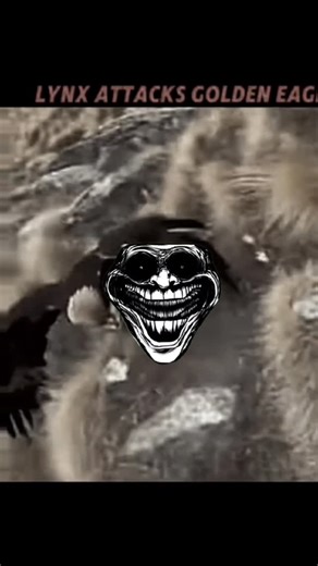 planetary on Instagram: "Scarface, the famous lion from Kenya's Maasai Mara National Reserve, died on June 11, 2021 at the age of 13 or 14. He died from natural causes, likely due to old age and starvation. . . . #lionking #lion #disney #lions #simba #thelionking #lioness #king #wildlife #lionsofinstagram #animals #love #nature #hakunamatata #africa #wildlifephotography #liontattoo #safari #art #lioncub #mufasa #lionlove #bigcats #nala #lioncubs #cat #lionguard #animal #kenya ##maasaimara"