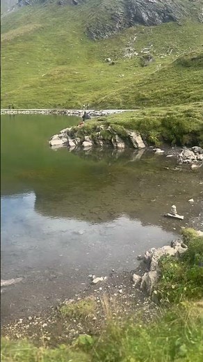 This hidden alpine lake in Switzerland feels unreal (with cow bells!) 🐄🏔️ | Switzerland Trail Reveal