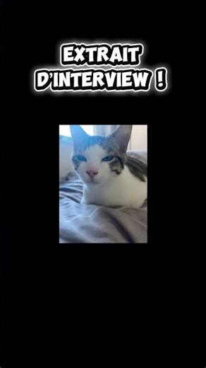 Extrait d’interview de Rio !