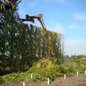 46K views · 375 reactions | Bush cutting machines | Giant Machine | Facebook