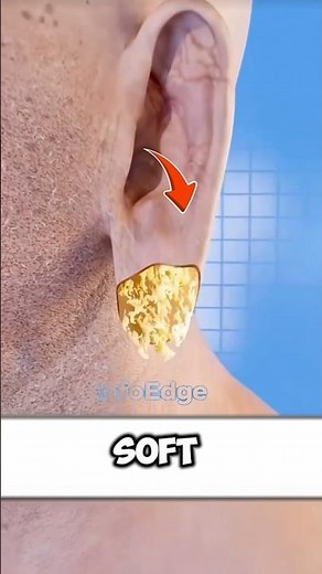 What Happens to Your Ears & Nose if You Live to 200? | Strange Cheese Habit Explained