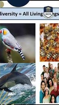 Why Biodiversity Matters | This Week’s iBOS Assembly