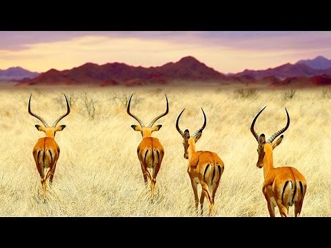 Namibia »Luxus der Weite«