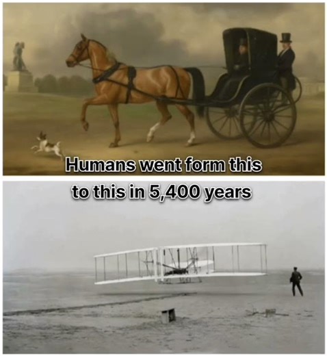 Evolution to B-2 Bomber 🥶” #evolution #science #knowledge #brain #skills