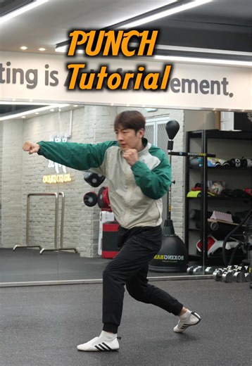 Ultimate Punch Tutorial for Martial Arts Training