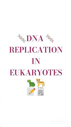 Eukaryotic DNA Replication: The Most Complex Process in Existence