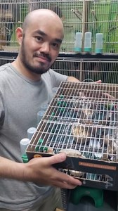 87K views · 2.1K reactions | exotic finches cebu to davao | Supreme Exotics PH | Facebook