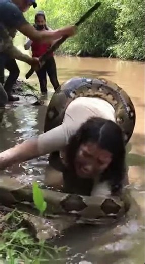 Giant Python Attacks Woman – Scariest Moment Ever! 🐍😱 #shorts