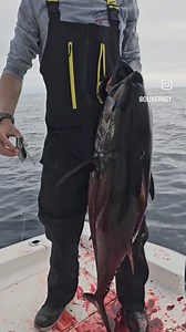 5.4K views · 88 reactions | They're getting closer and closer. My...