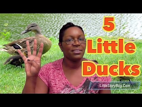Preschool songs - Five Little Ducks - LittleStoryBug