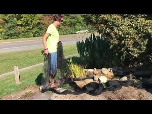 How To Net A Fish Pond In The Fall