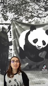 1.2K views · 13 reactions | ¡Conoce la historia detrás del logo de WWF Perú aquí! #Conservación #Panda | WWF PERÚ | Facebook