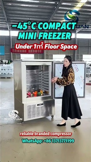 -45°C Compact Blast Freezer | Mini Commercial Freezer for Meat & Seafood #BlastFreezer