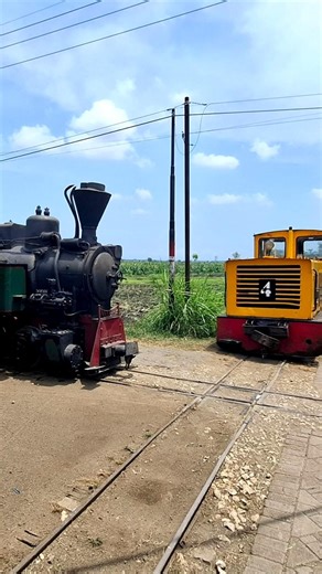 Diesel & Steam Locos at the Semboro Sugar Mill Railroad Crossing