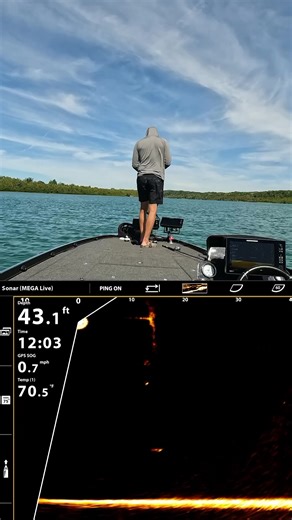 145K views · 444 reactions | MEGA Live meets brown trout 欄 #MEGALive #Humminbird #BrownTrout #ForwardFacingSonar | Humminbird | Facebook