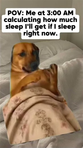 Why I regret every life choice at 3 AM #sleep #comedy #dog