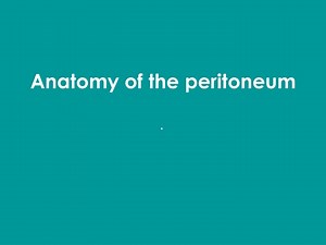 Anatomy of the peritoneum - SlideServe