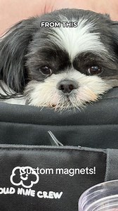 CUSTOM MAGNETS MAKE AMAZING GIFTS OR STOCKING STUFFERS! ORDER TODAY FOR ON TIME DELIVERY FOR CHRISTMAS! | The Magnet Bar