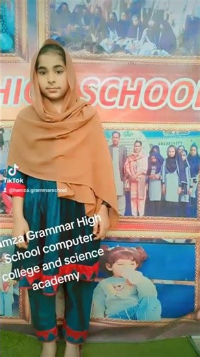 Hamza Grammar High School computer college and science academy