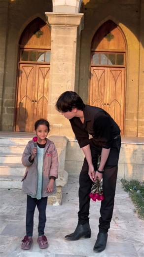 Cute Fan Designs to Refresh Your Room