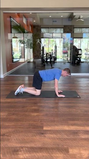 Quadruped fire hydrant exercise - Fit Family Physical Therapy