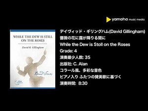 37 GYW00119348 薔薇の花に露が降りる間に