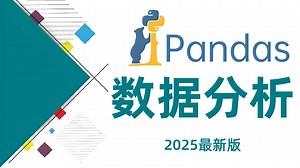 【全100集】Pandas数据分析零基础入门到实战教程，自学Pandas数据分析看这一套就够了！