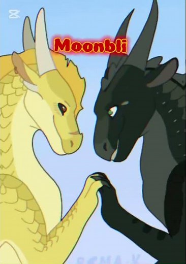 The best ships in wings of fire