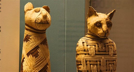 Fascinating Facts About Animal Mummification in Ancient Egypt