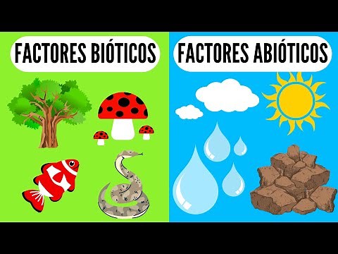 🐠 BIOTIC AND ABIOTIC FACTORS 🐍 What are they? In the environment or ecosystems for children, biology