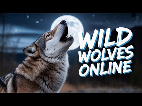 24/7 Wolf Pack Live Cam – Rare Wildlife Moments