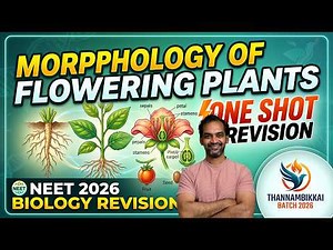 Morphology of Flowering Plants One Shot 🔥 | Full NCERT Revision for NEET 2026