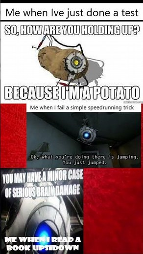 Unveiling the Most HYSTERICAL Portal Memes You've Never Seen! #1