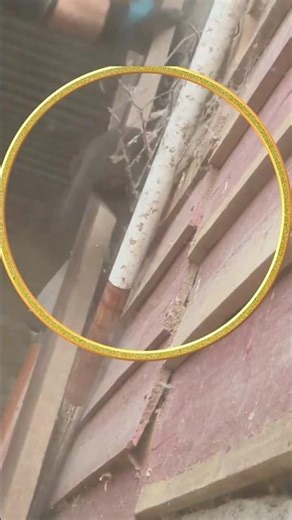 First Encounter with the American Mink – Protecting Our Chicks. #shorts #protection #shocking