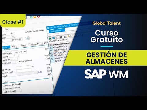 Curso Libre SAP WM Almacenes